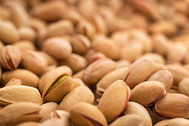 قیمت پسته اکبری شور ممتاز با کیفیت ارزان + خرید عمده